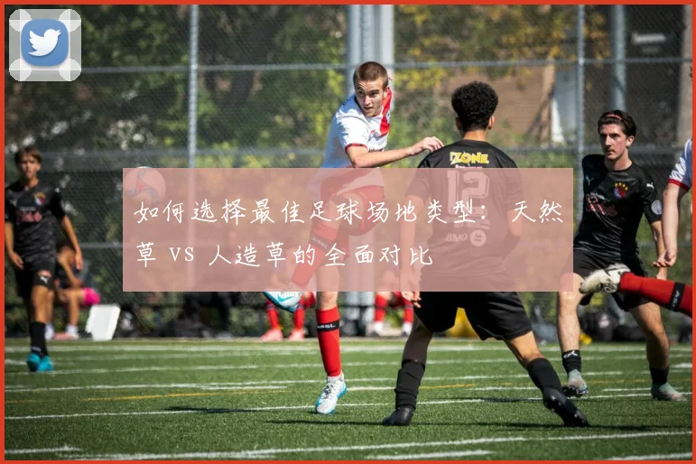 如何选择最佳足球场地类型：天然草 vs 人造草的全面对比