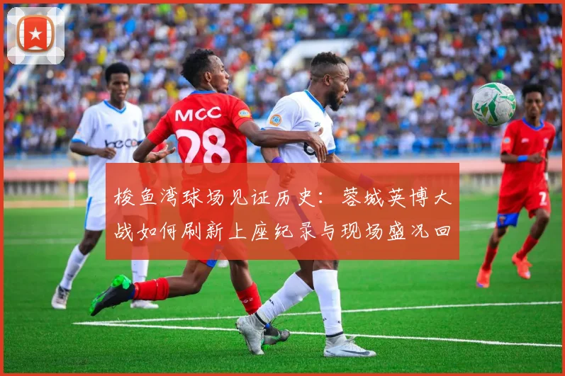 梭鱼湾球场见证历史:蓉城英博大战如何刷新上座纪录与现场盛况回顾