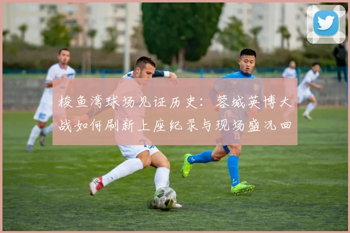 梭鱼湾球场见证历史:蓉城英博大战如何刷新上座纪录与现场盛况回顾