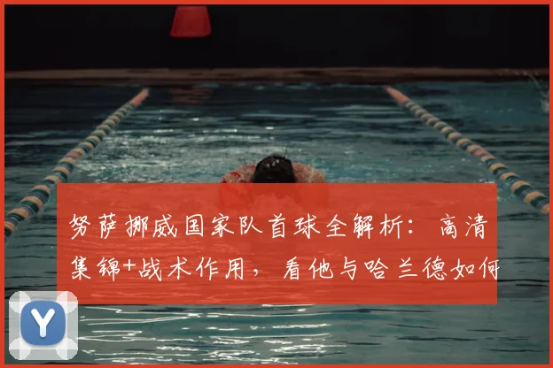 努萨挪威国家队首球全解析:高清集锦+战术作用,看他与哈兰德如何连线